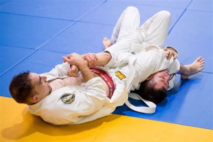 What Makes A Good BJJ Teacher / Instructor / Coach?