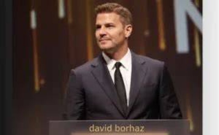 Who is David Boreanaz's exwife Meet Ingrid Quinn Daily Popp
