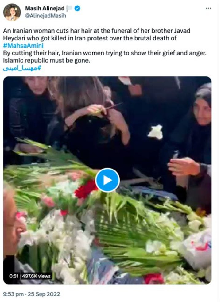 Who Was Mona Heidari? How Did She Die? Check Video Husband Killed