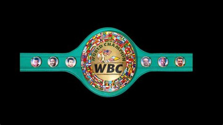 World Boxing Council promise stern action against rabbit punching