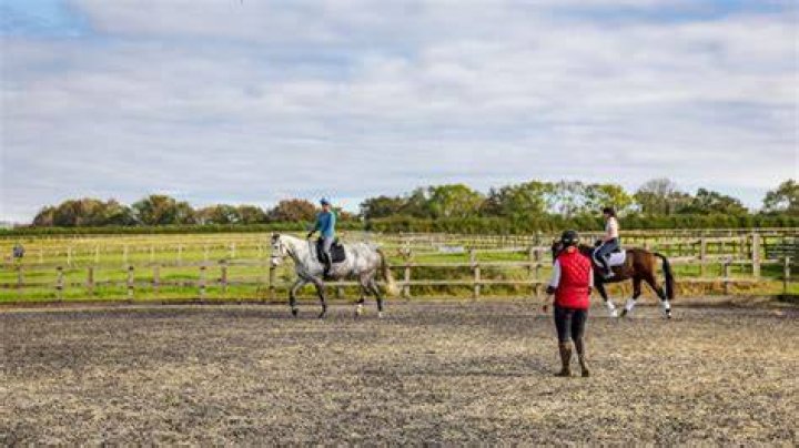 Yes Kelly is riding. They all do. Have world renowned trainer on set